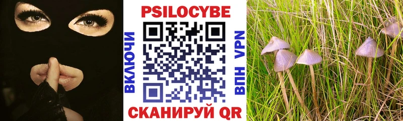 Купить закладки  Заполярный  Псилоцибиновые грибы мицелий 