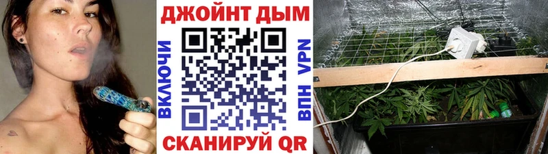 Купить  Заполярный  МАРИХУАНА Amnesia 